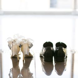 ブルーアステールの写真4枚目