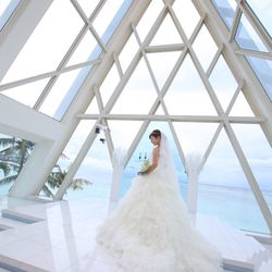 ブルーアステールの写真9枚目