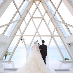 ブルーアステールの写真1枚目