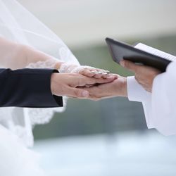 ブルーアステールの写真22枚目