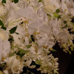 ザ・リッツ・カールトン東京の写真1枚目