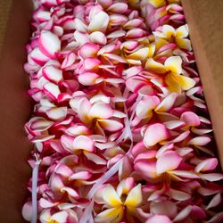 BAYSIDE GEIHINKAN VERANDA minatomiraiの写真29枚目