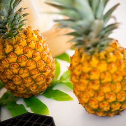 BAYSIDE GEIHINKAN VERANDA minatomiraiの写真12枚目