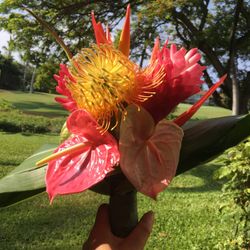 BAYSIDE GEIHINKAN VERANDA minatomiraiの写真22枚目