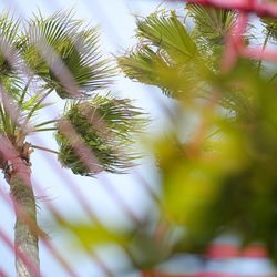ザ・ルイガンズ スパ＆リゾートの写真6枚目