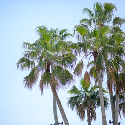 ザ・ルイガンズ スパ＆リゾートの写真16枚目