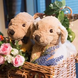 グランドニッコー東京 台場の写真17枚目