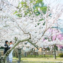 ヒルトン東京の写真10枚目