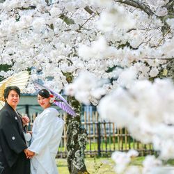 ヒルトン東京の写真29枚目