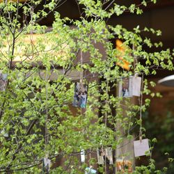 八芳園の写真17枚目