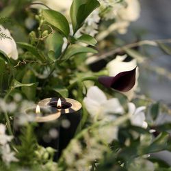 TRUNK HOTELの写真31枚目