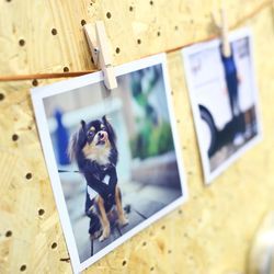 TRUNK HOTELの写真2枚目