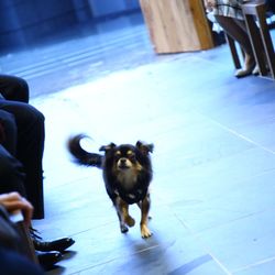 TRUNK HOTELの写真11枚目