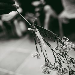 TRUNK HOTELの写真8枚目