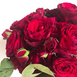 神戸セントモルガン教会の写真22枚目