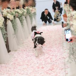 ベイサイド迎賓館 神戸の写真9枚目