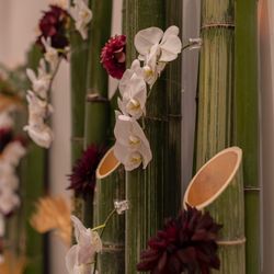 ザ・メイビア宮崎の写真8枚目