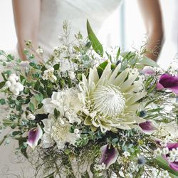 グランド ハイアット 東京の写真14枚目