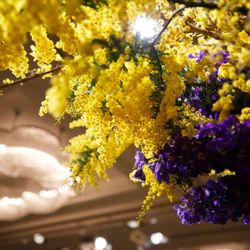 パレスホテル東京の写真36枚目