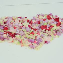 セント・ラファエロチャペル東京の写真17枚目