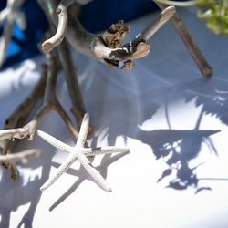 BAYSIDE GEIHINKAN VERANDA minatomiraiの写真18枚目