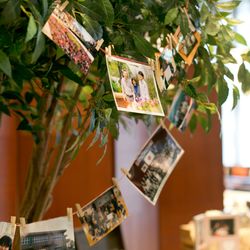 ザ・ピーク プレミアムテラスの写真34枚目