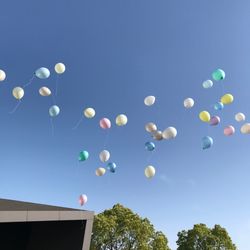 Mia Viaの写真34枚目