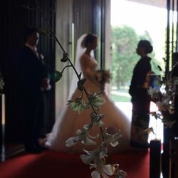 Mia Viaの写真31枚目