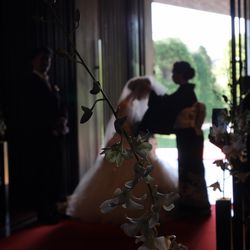 Mia Viaの写真24枚目