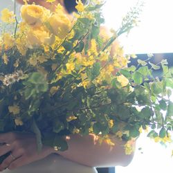 ザ・ガーデンオリエンタル大阪の写真32枚目