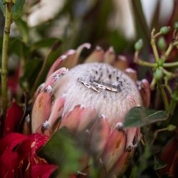 ザ・コンダーハウスの写真22枚目