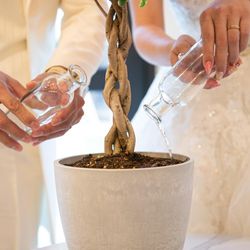 迎賓館の写真6枚目