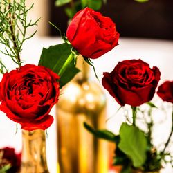 ザ・ルイガンズ スパ＆リゾートの写真30枚目