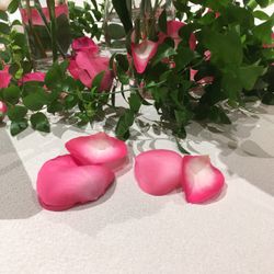 鶴見ノ森 迎賓館の写真12枚目