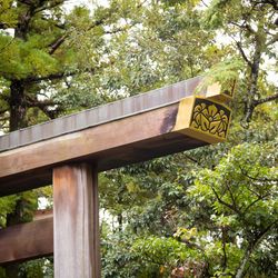 ザ ランドマークスクエアトーキョーの写真9枚目