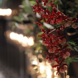 グランド ハイアット 東京の写真3枚目