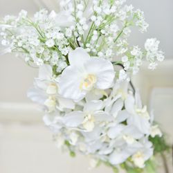 アルモニーアンブラッセ イットハウスの写真17枚目