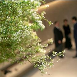 IWAI OMOTESANDOの写真8枚目