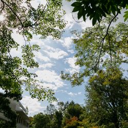 ザ・ガーデンオリエンタル大阪の写真11枚目