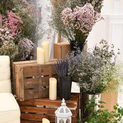 キャナルサイド ララシャンスの写真19枚目