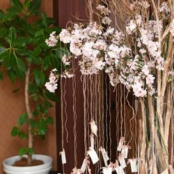 キャナルサイド ララシャンスの写真32枚目