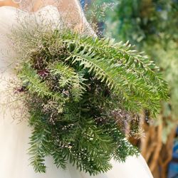 ヴェールノアールの写真3枚目