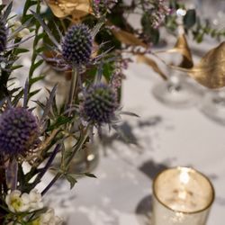 ザ ナンザンハウスの写真16枚目