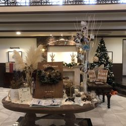 ブルーアステールの写真5枚目