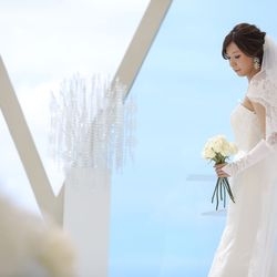 ブルーアステールの写真17枚目