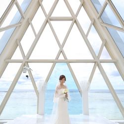 ブルーアステールの写真23枚目