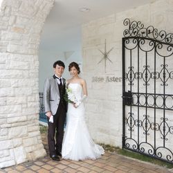 ブルーアステールの写真3枚目