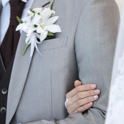 ブルーアステールの写真33枚目