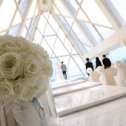 ブルーアステールの写真15枚目