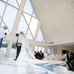 ブルーアステールの写真6枚目